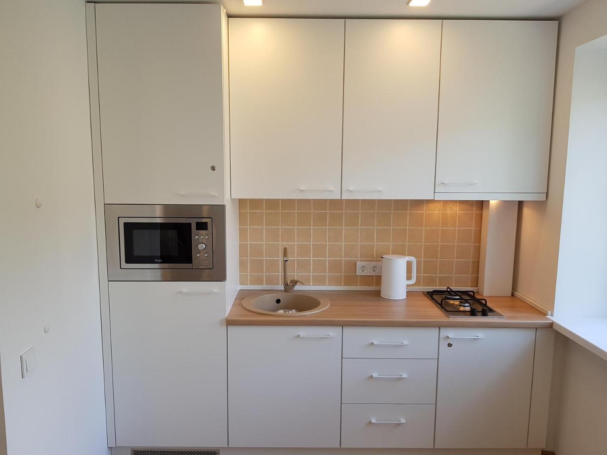 Anyksciai Cozy Studio Εξωτερικό φωτογραφία