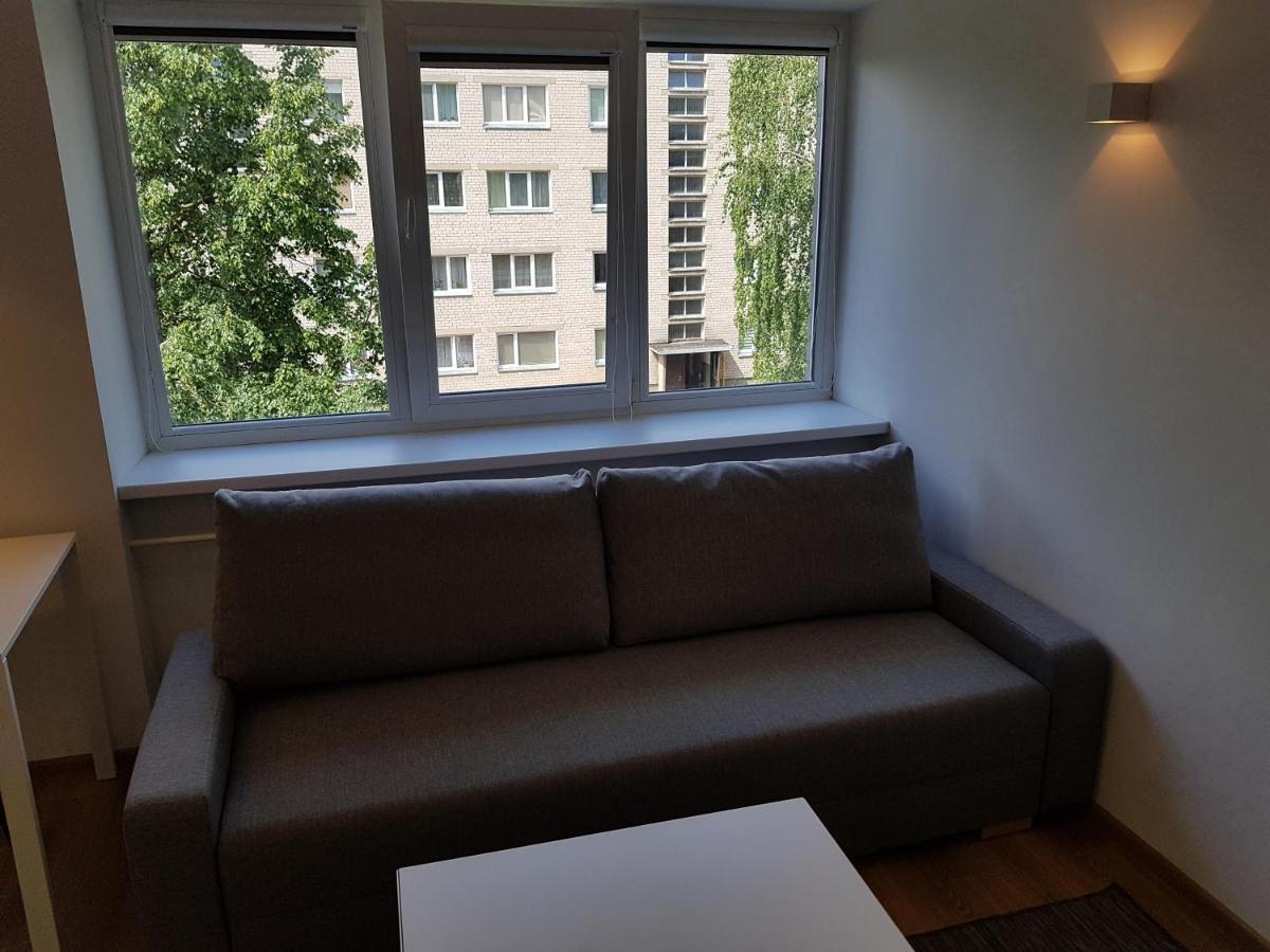 Anyksciai Cozy Studio Εξωτερικό φωτογραφία