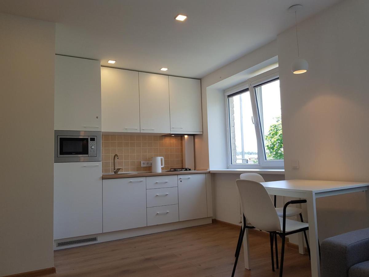 Anyksciai Cozy Studio Εξωτερικό φωτογραφία