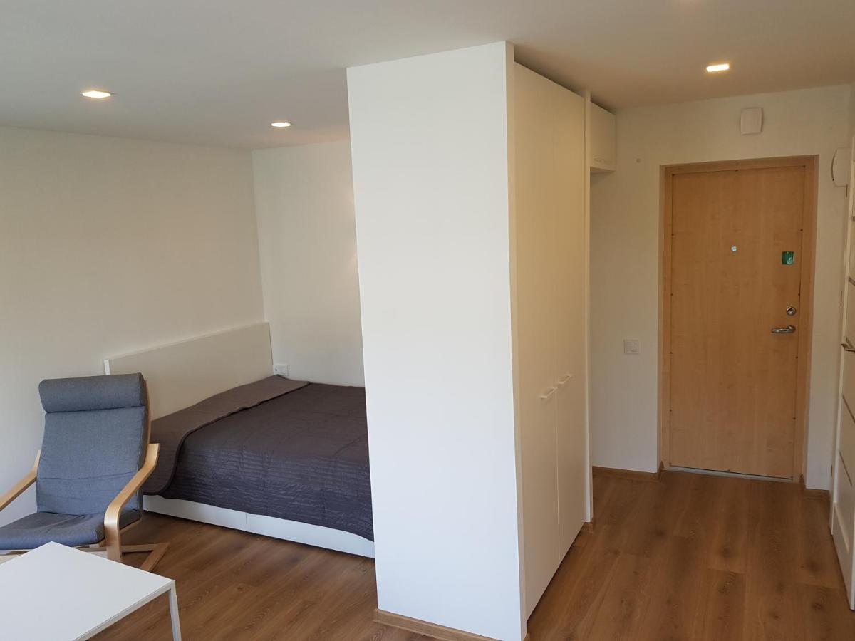 Anyksciai Cozy Studio Εξωτερικό φωτογραφία